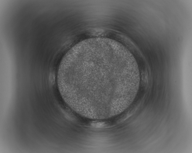 X0000111460602200908101056