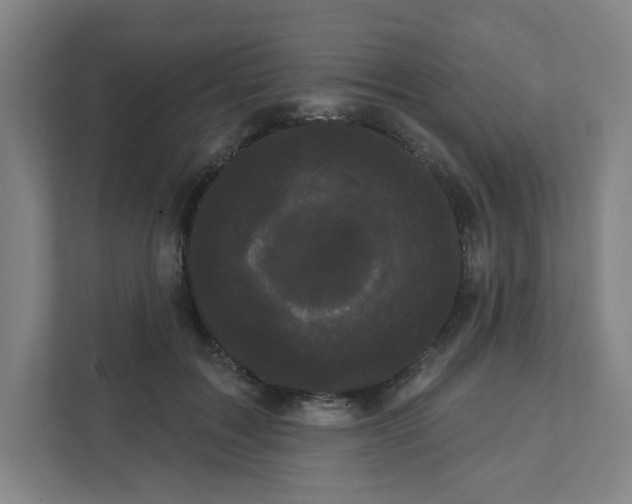 X0000111460603200908101056