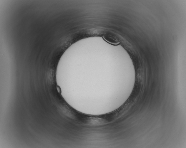 X0000111460605200908101056