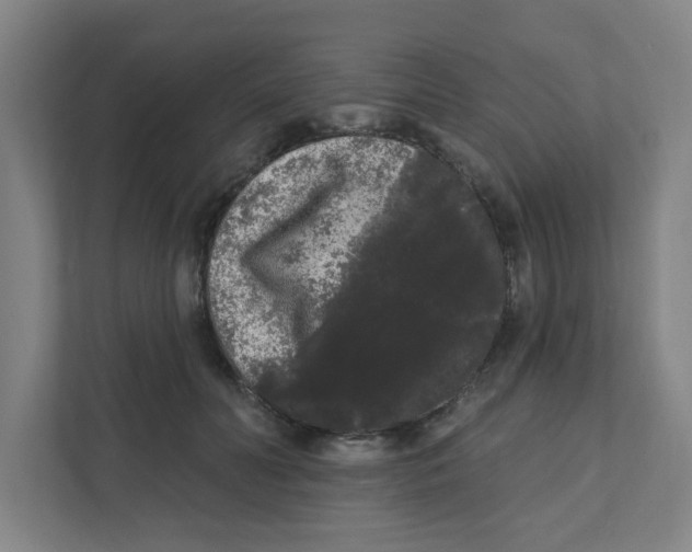 X0000111460606200908101056