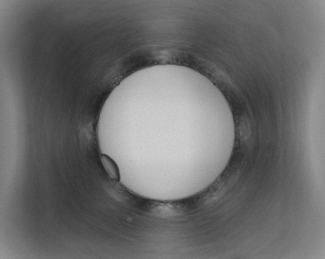 X0000111460611200908101056