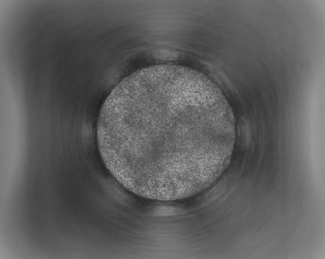 X0000111460614200908101056