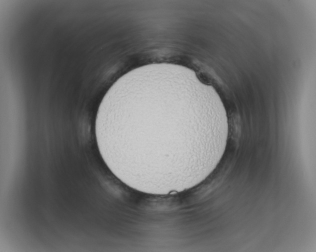 X0000111460615200908101056