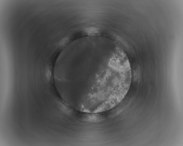 X0000111460618200908101056