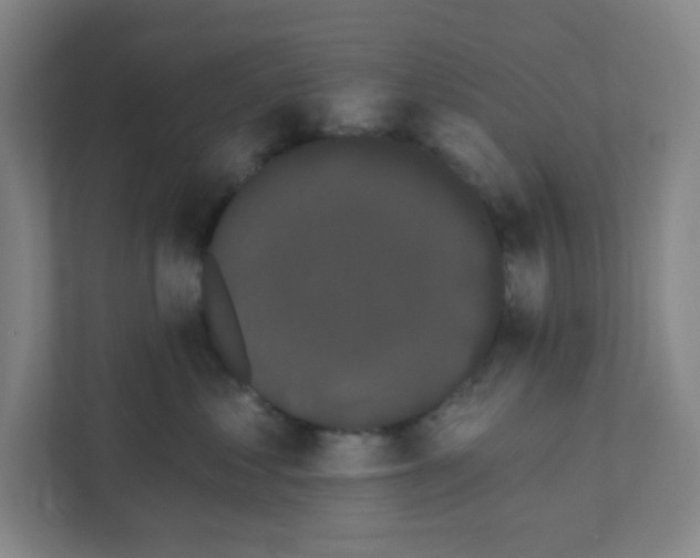 X0000111460621200908101056