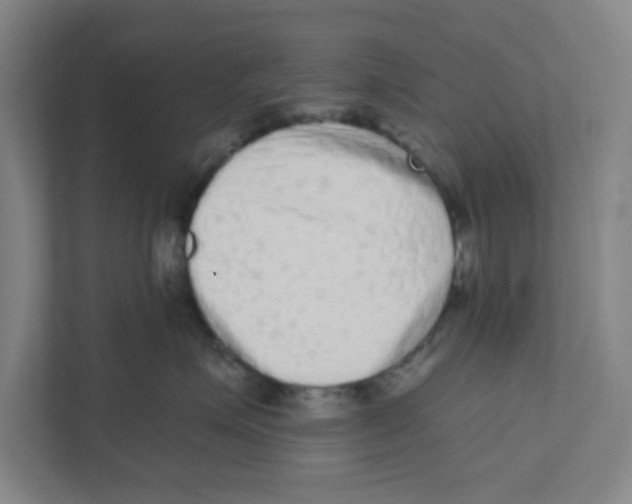 X0000111460623200908101056