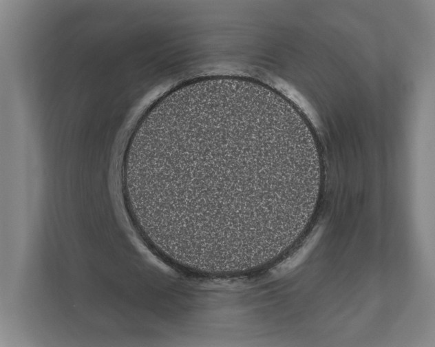 X0000111460625200908101055