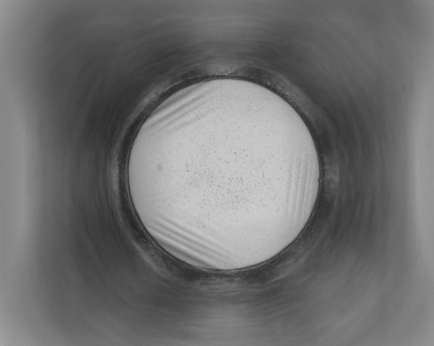 X0000111460626200908101055