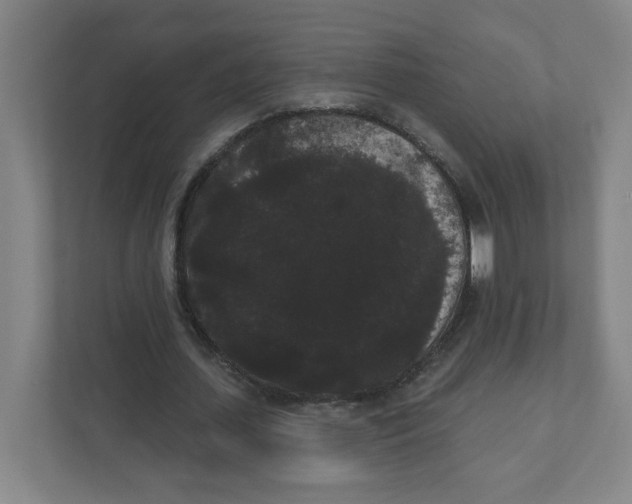 X0000111460627200908101055
