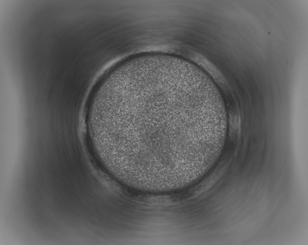 X0000111460628200908101055