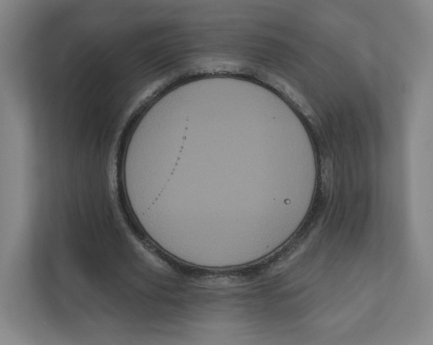 X0000111460629200908101055