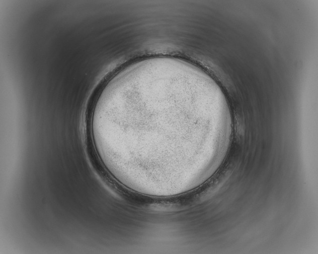 X0000111460630200908101055