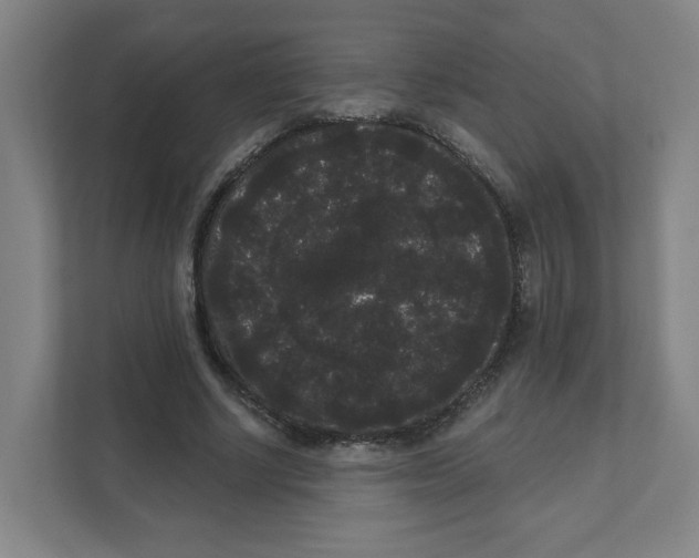X0000111460634200908101055