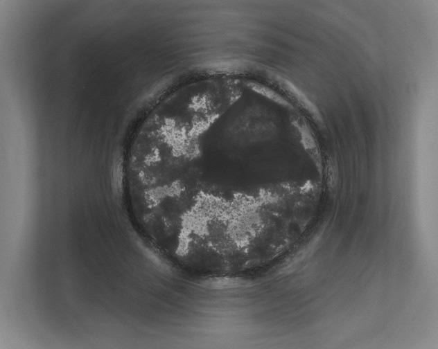 X0000111460637200908101055