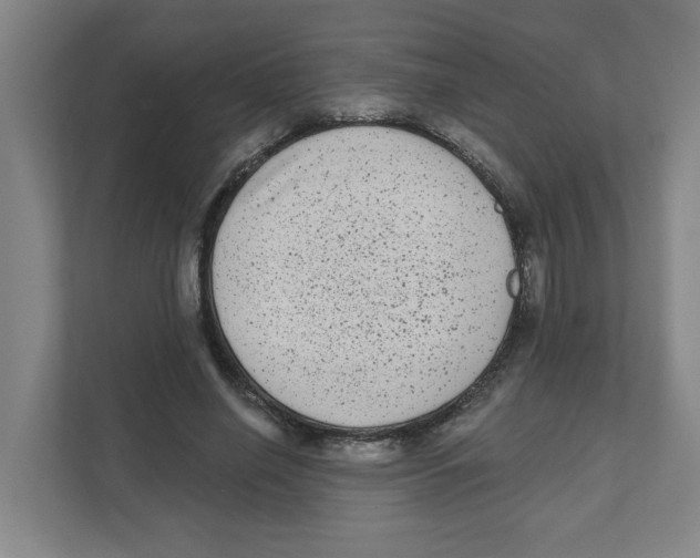 X0000111460638200908101055