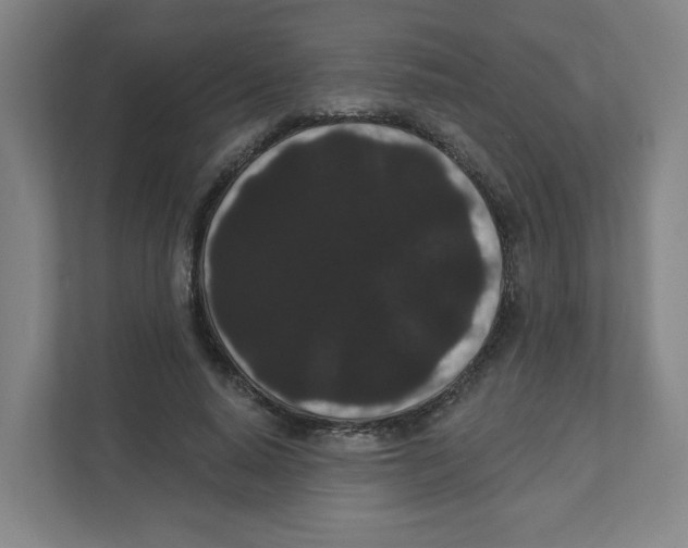 X0000111460640200908101055