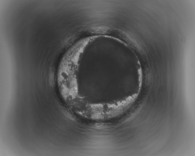 X0000111460641200908101055