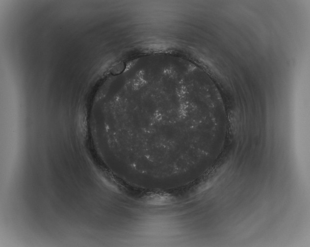 X0000111460642200908101055
