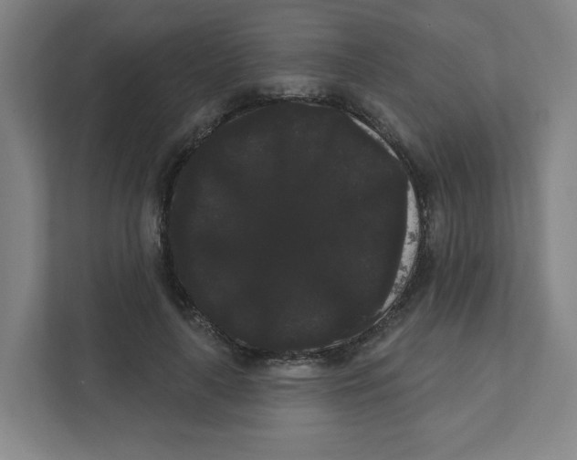 X0000111460643200908101055
