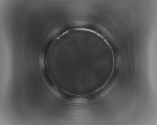 X0000111460644200908101055