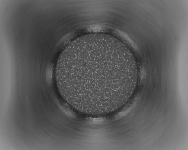 X0000111460645200908101055