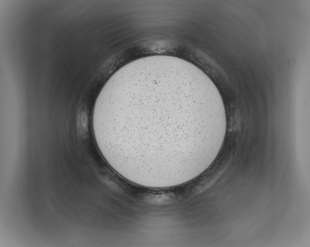 X0000111460646200908101055