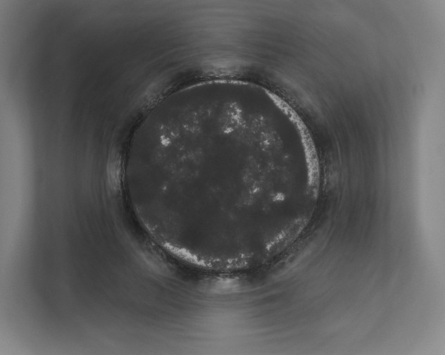 X0000111460647200908101055