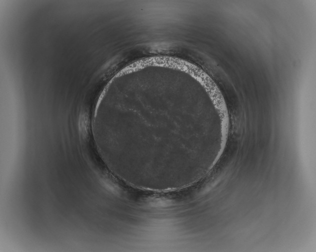 X0000111460648200908101055