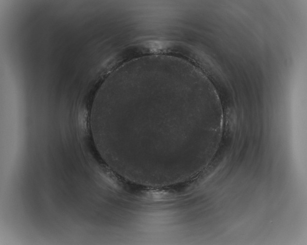 X0000111460650200908101055