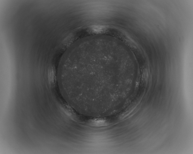 X0000111460651200908101055