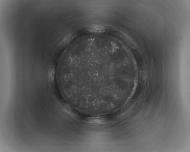 X0000111460652200908101055