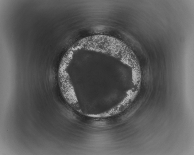 X0000111460653200908101055