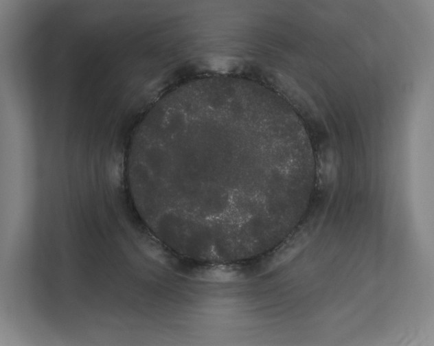 X0000111460656200908101055
