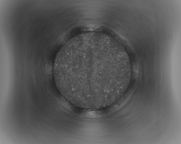X0000111460657200908101055