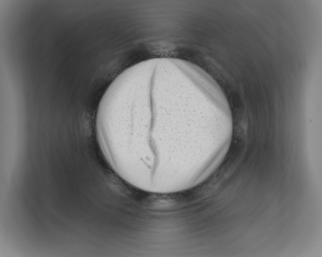 X0000111460658200908101055
