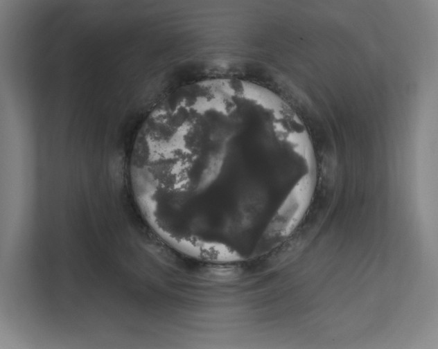 X0000111460659200908101055