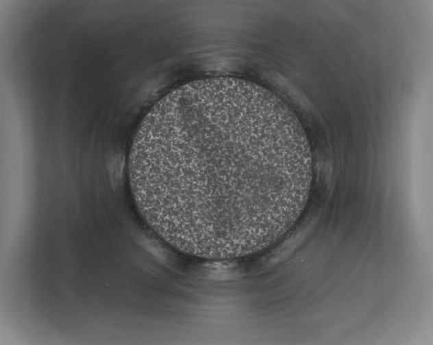 X0000111460660200908101055