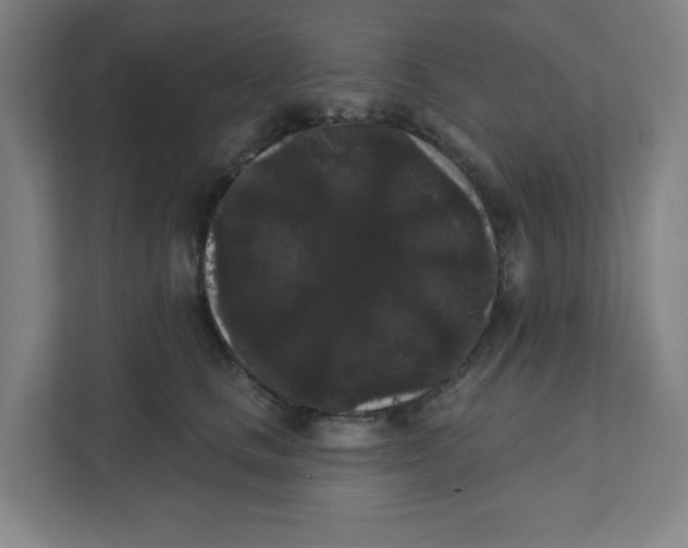 X0000111460661200908101055