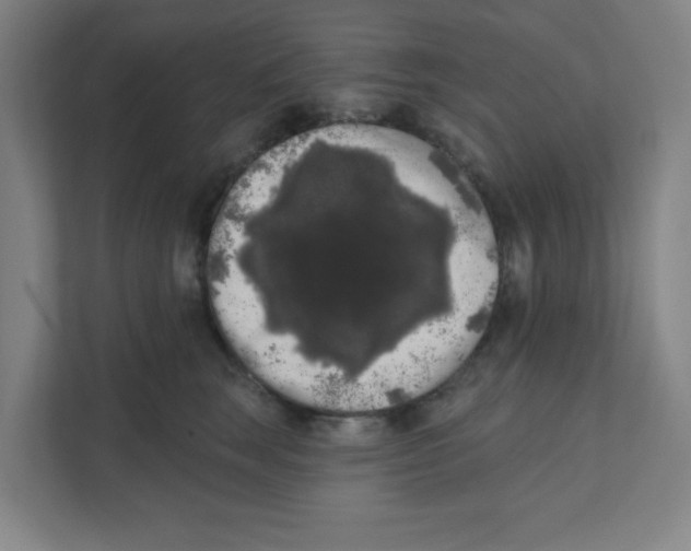 X0000111460663200908101055