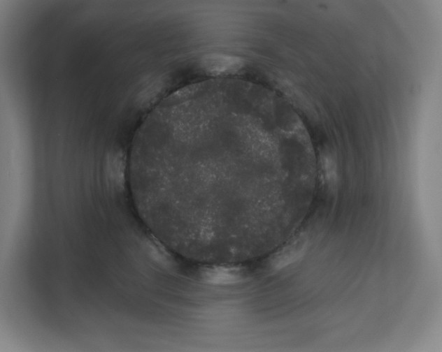 X0000111460664200908101055
