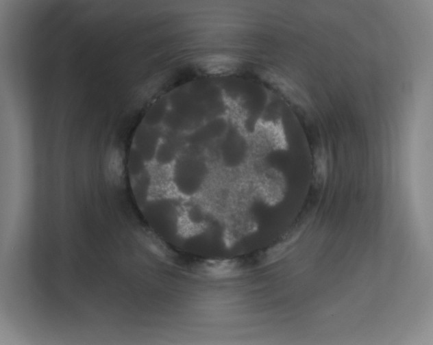 X0000111460667200908101055