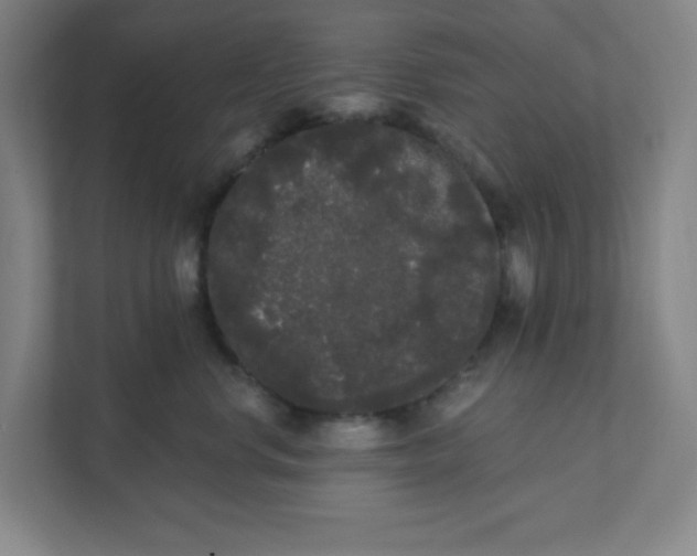 X0000111460668200908101055
