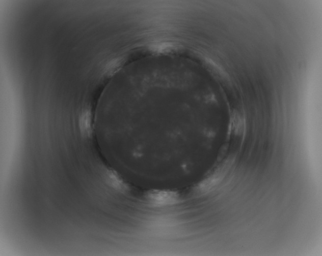 X0000111460670200908101056