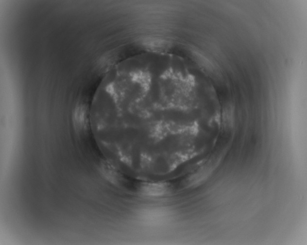 X0000111460671200908101056