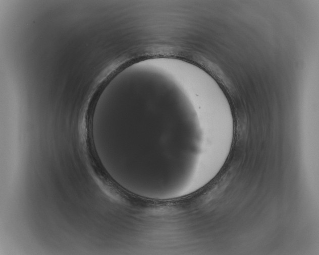 X0000111460674200908101055