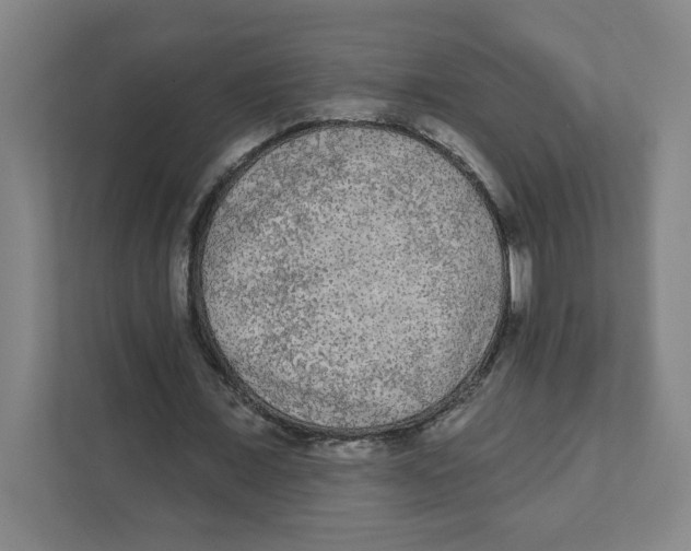 X0000111460675200908101055