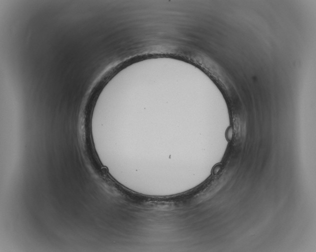X0000111460676200908101055