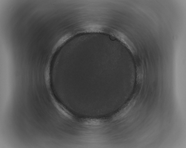 X0000111460677200908101055