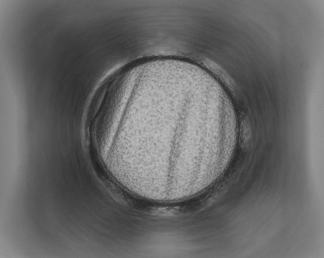 X0000111460680200908101055