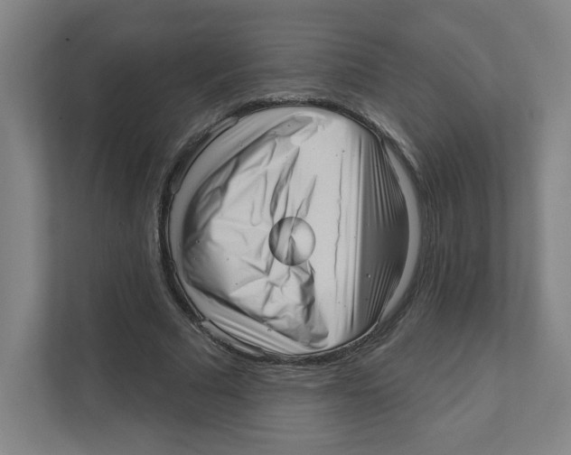X0000111460681200908101055